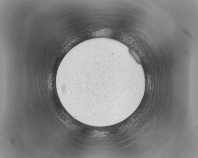 X0000115020255200912071033