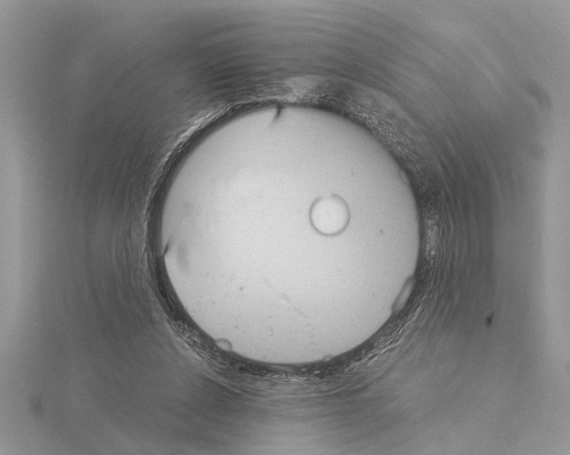 X0000115020256200912071033