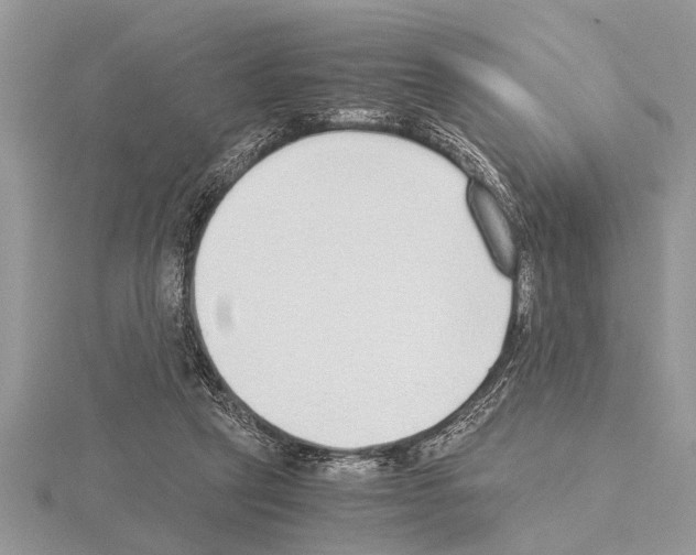 X0000115020257200912071033