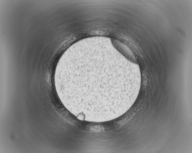 X0000115020258200912071033