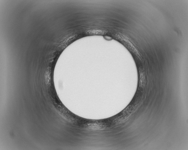 X0000115020259200912071033