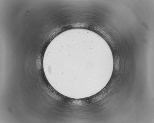 X0000115020261200912071033