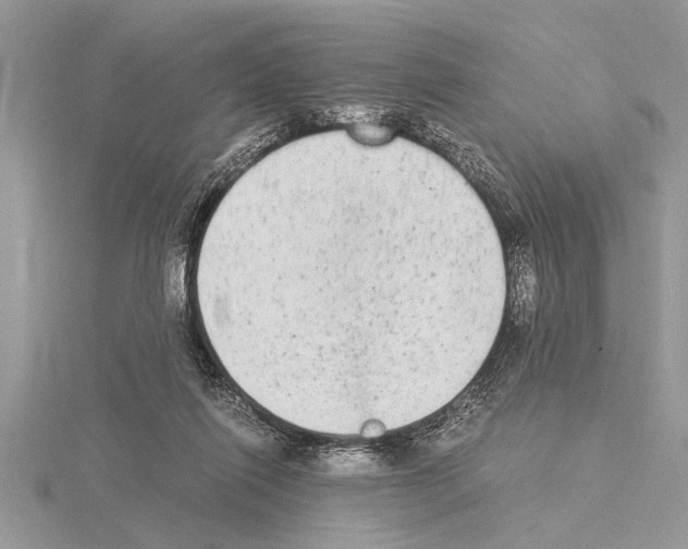 X0000115020262200912071033