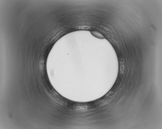 X0000115020263200912071033