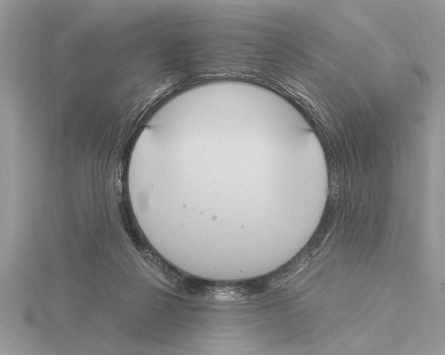 X0000115020264200912071033