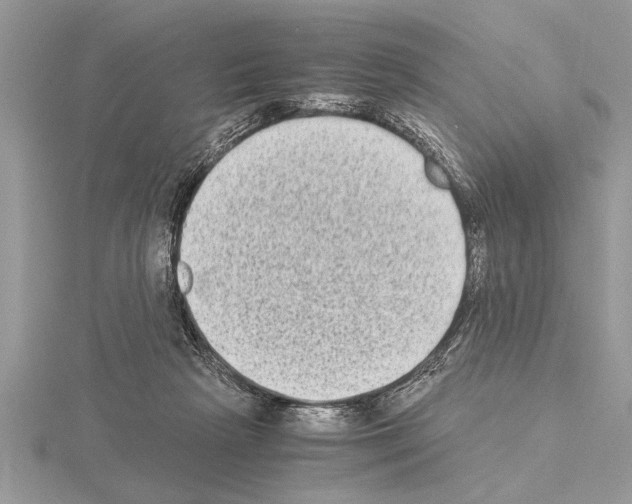 X0000115020265200912071033