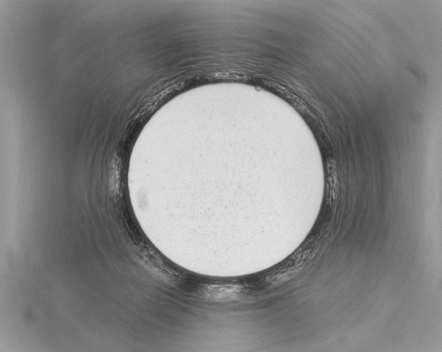 X0000115020266200912071033