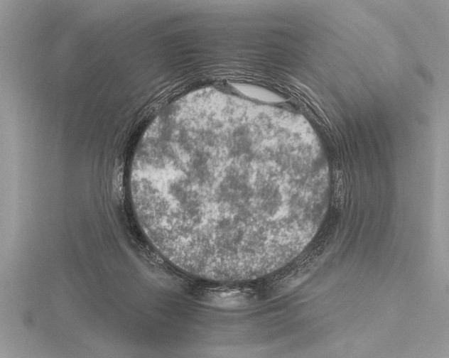 X0000115020267200912071033