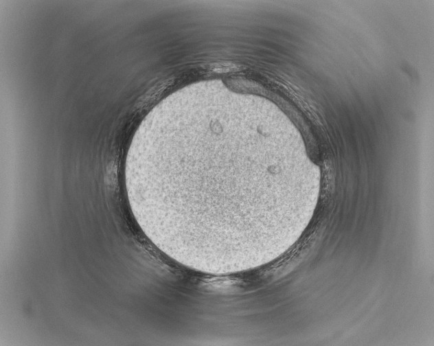 X0000115020269200912071033