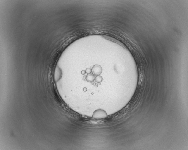 X0000115020270200912071033