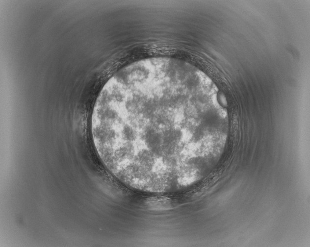 X0000115020271200912071033