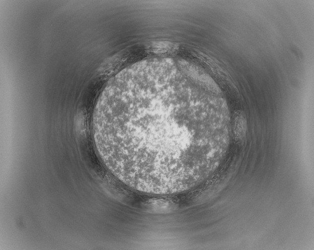 X0000115020272200912071033