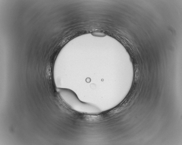 X0000115020274200912071033