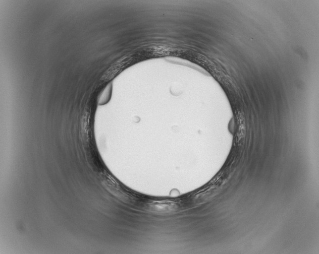 X0000115020275200912071033