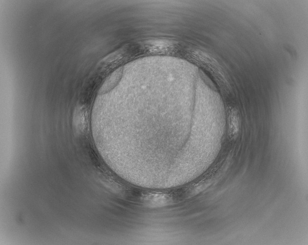 X0000115020276200912071033