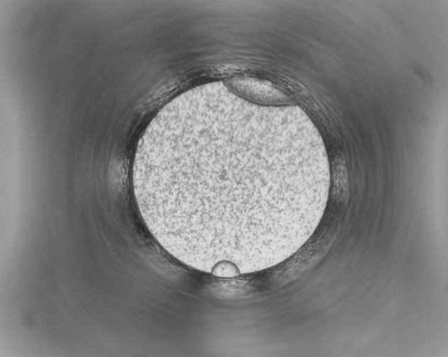 X0000115020278200912071034