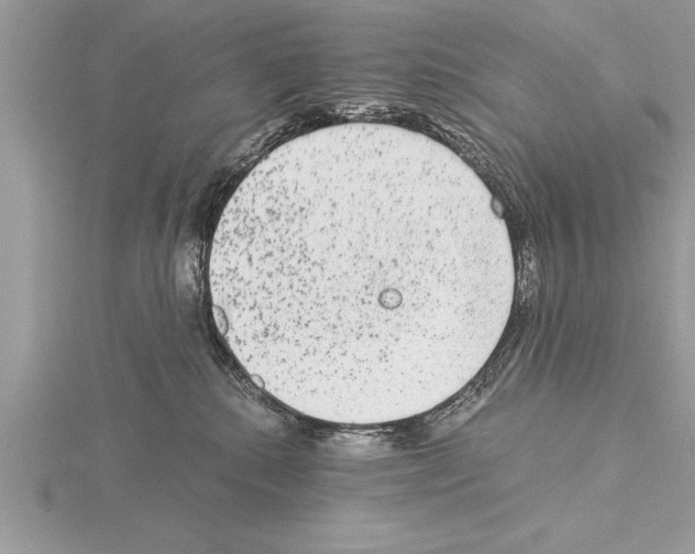 X0000115020280200912071034