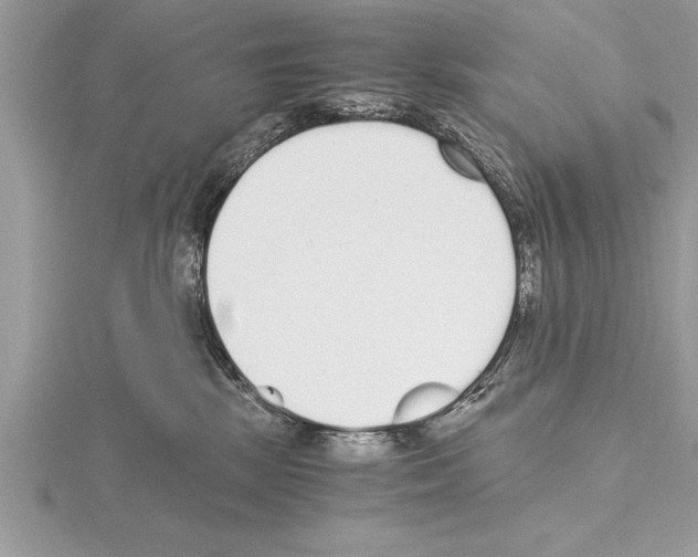 X0000115020281200912071034