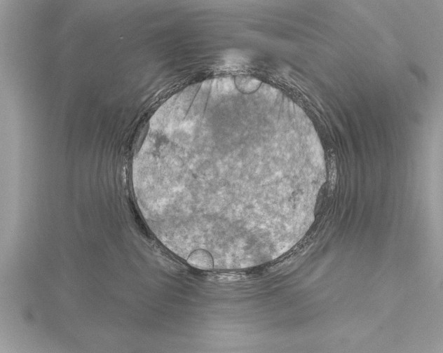 X0000115020282200912071034