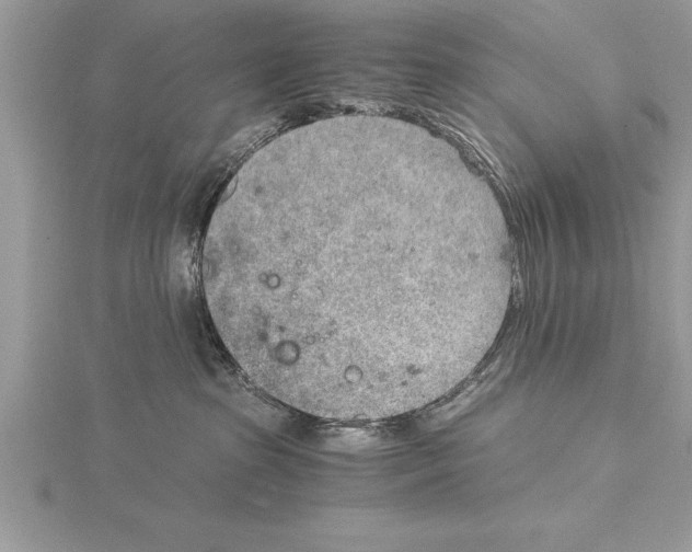 X0000115020285200912071034