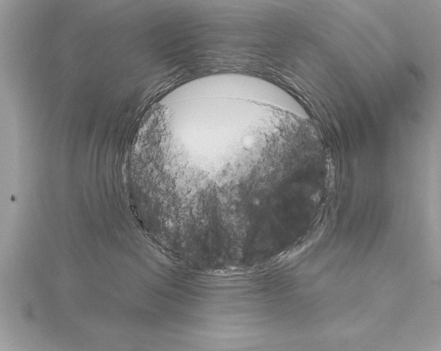 X0000115020286200912071034