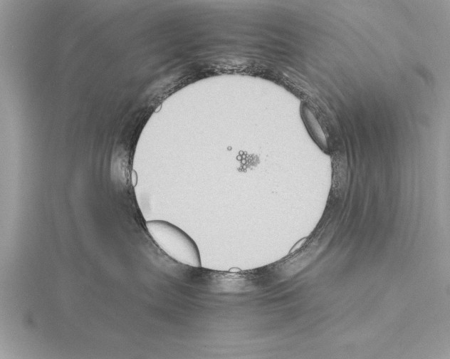 X0000115020287200912071034