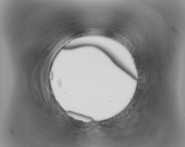 X0000115020289200912071033