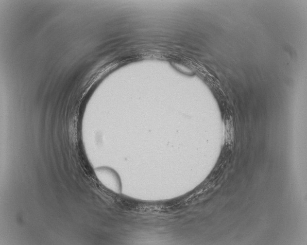 X0000115020291200912071033