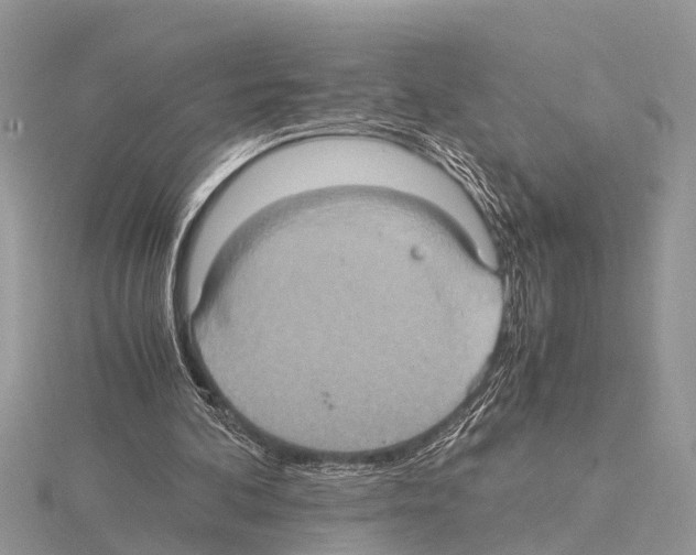 X0000115020292200912071033