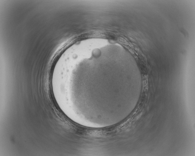 X0000115020293200912071033