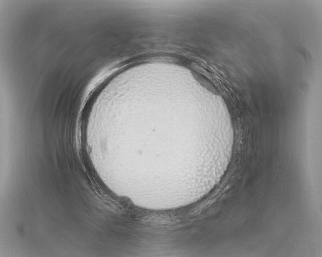 X0000115020294200912071033