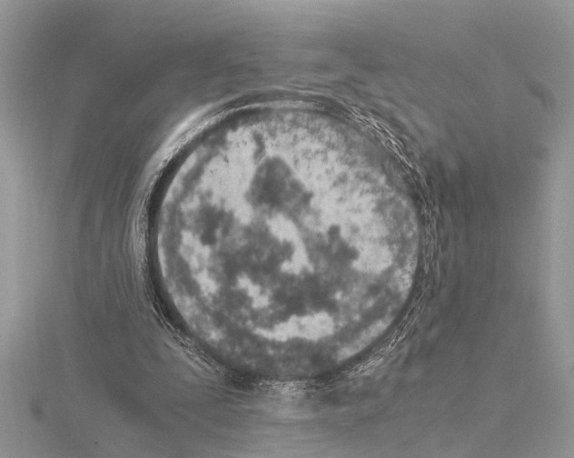 X0000115020295200912071033