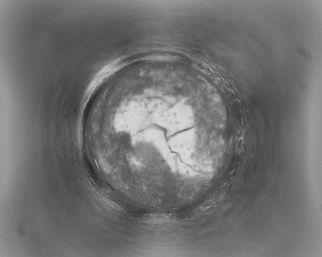 X0000115020296200912071033