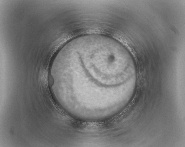 X0000115020297200912071033