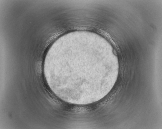 X0000115020299200912071033