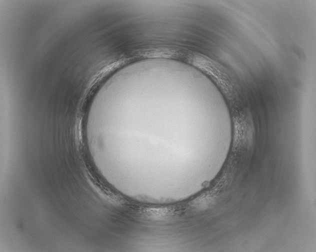 X0000115020302200912071033