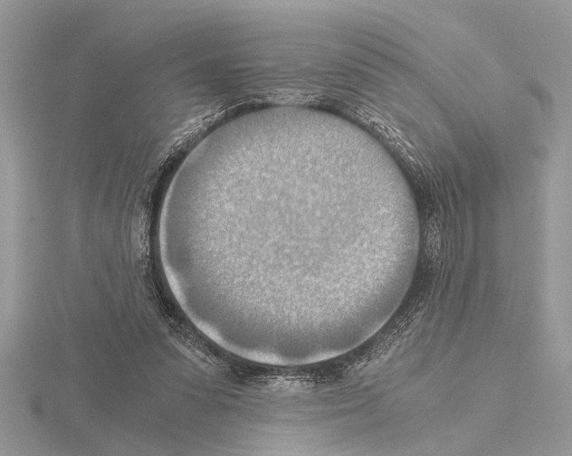 X0000115020303200912071033