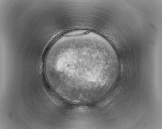 X0000115020304200912071033