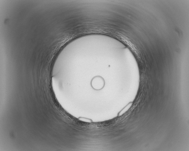 X0000115020305200912071033