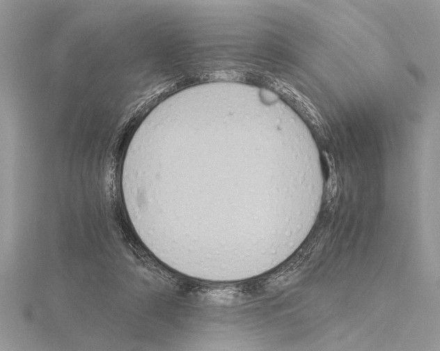 X0000115020306200912071033