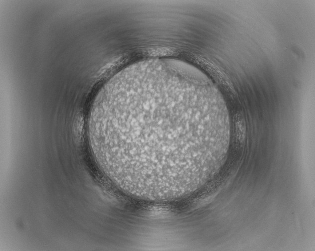 X0000115020308200912071033