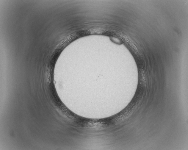 X0000115020311200912071033