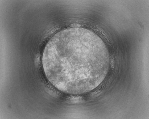 X0000115020314200912071033