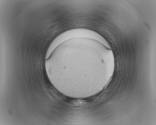 X0000115020316200912071033