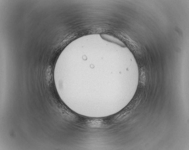 X0000115020318200912071032