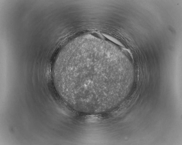 X0000115020320200912071032