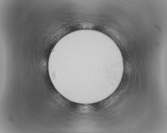 X0000115020321200912071032