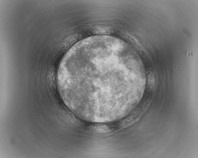 X0000115020322200912071032