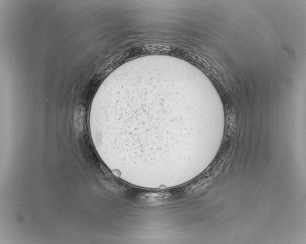 X0000115020323200912071032