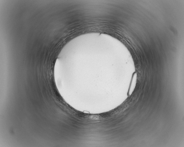 X0000115020324200912071032